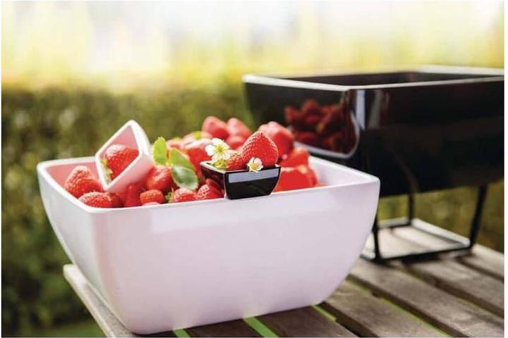 Immagine prodotto APS Schale "PURE" (3.80 l, 1 x)