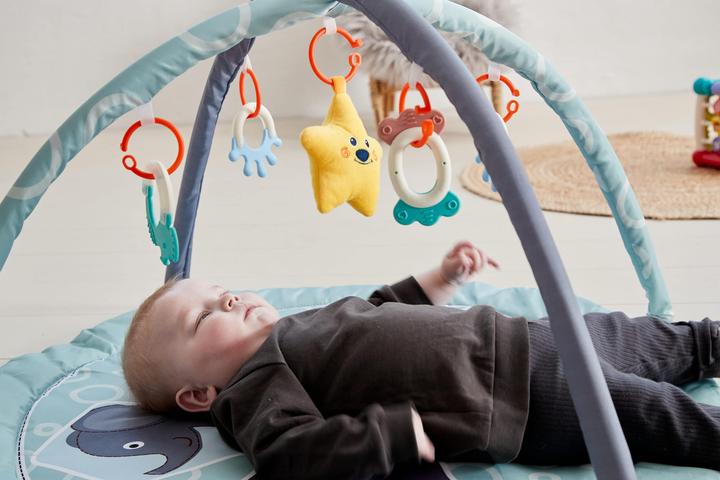 Actual product image Scandinavian Baby Products Zoo Activity Gym