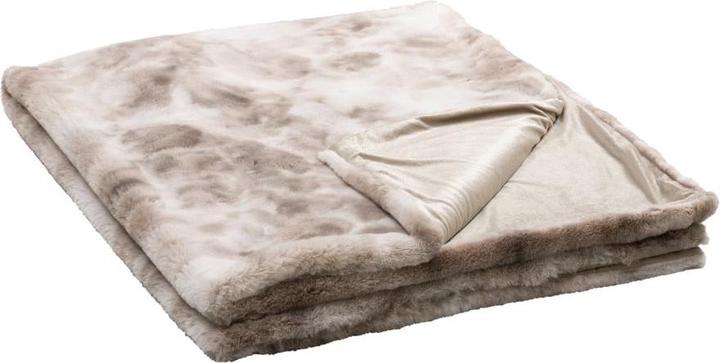 Johann Jakob Nevio (130 x 170 cm)