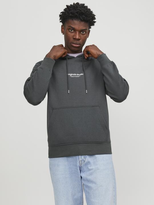 Image du produit Jack & Jones Sweat à capuche (XL)
