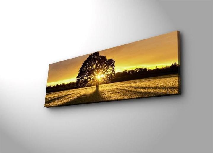 Image du produit Wallxpert Keira (30 x 90 cm)