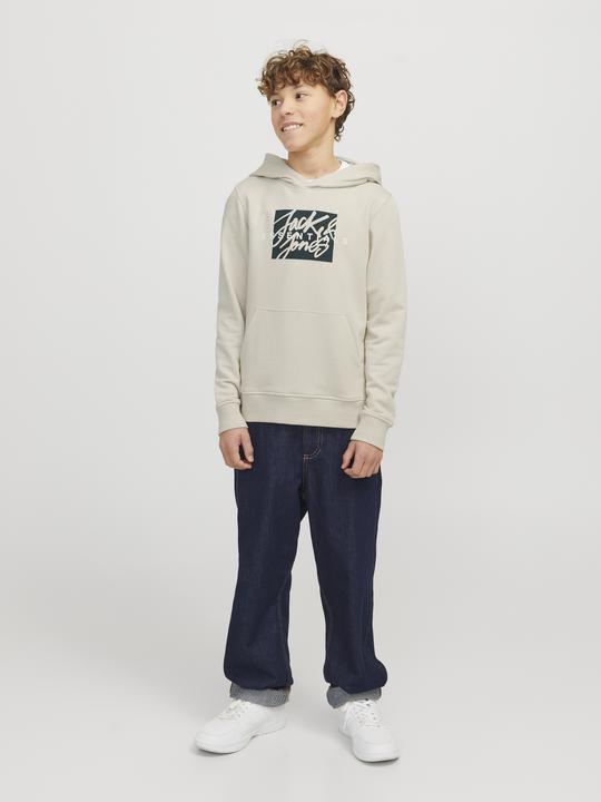 Image du produit Jack & Jones Logo Kapuzenpullover Junior Kapuzenpullover (140)