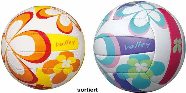 Actual product image Magni John Volleyball Sports Ø21cm 280g