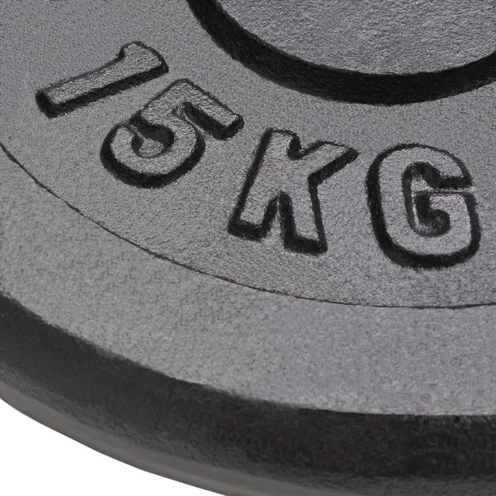 Immagine prodotto vidaXL Hantelscheibe (2 x 15 kg)