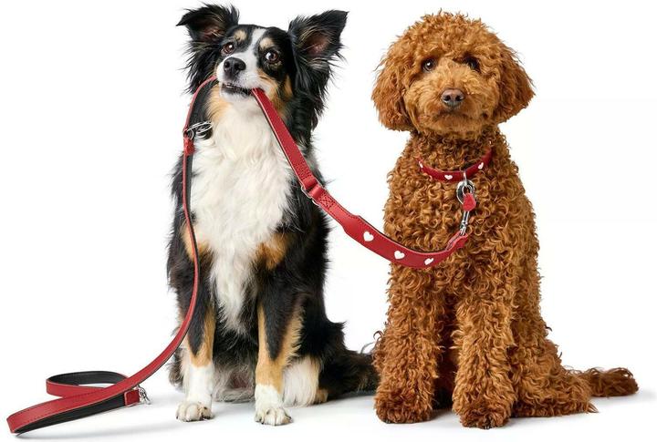 Actual product image Hunter Love adjustable lead, 18/200, red/black, width: 1.8 (Dog, General)