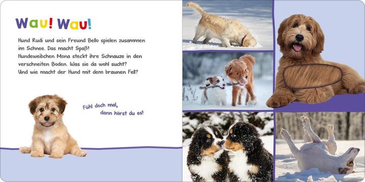 Produktbild Hör mal rein, wer kann das sein? – Kleine Tiere im Schnee (Deutsch, 2022)