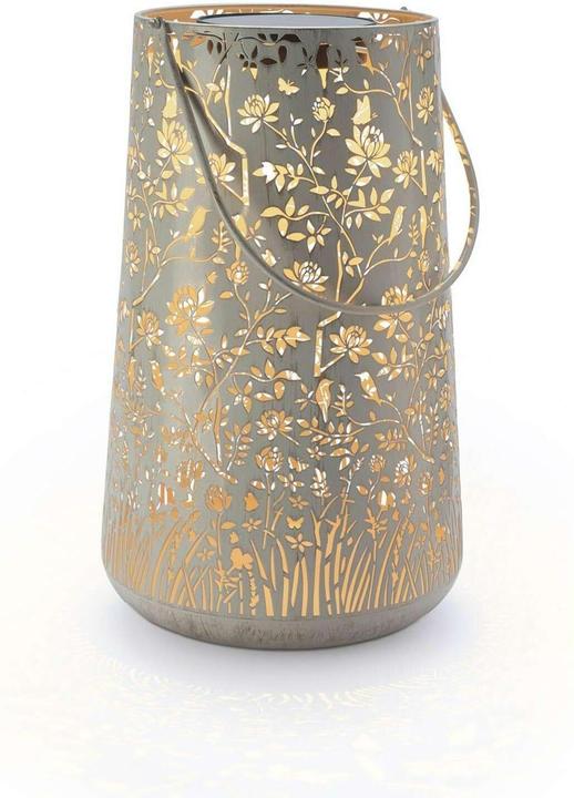 Image du produit STT Verana