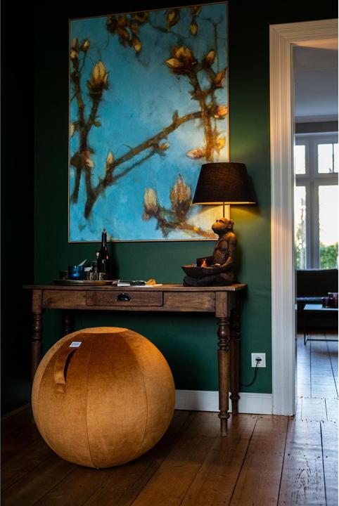 Immagine prodotto Vluv Fitball VARM, in velluto, 600 - 650 mm, zucca. (65 cm)