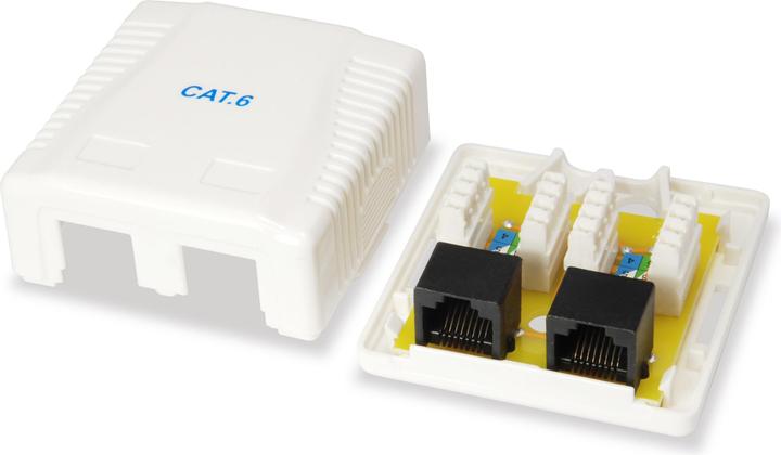 Actual product image equip Box 2x surface mount (Network Accessories)