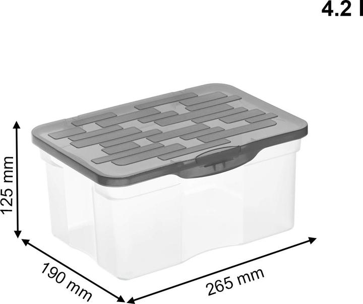 Immagine prodotto Rotho Ranger (19 x 12 x 26 cm, 4.20 l)