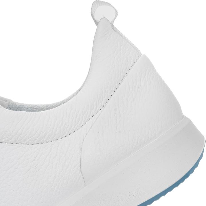 Image du produit Ara Roma (40)