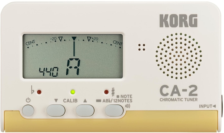 Korg Ca-2