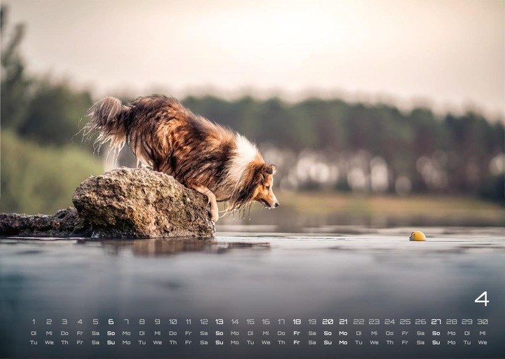 Produktbild Wuff - Unsere Vierbeiner - Der Hundekalender- 2025 - Kalender DIN A3 (A3, Harter Einband, Deutsch)