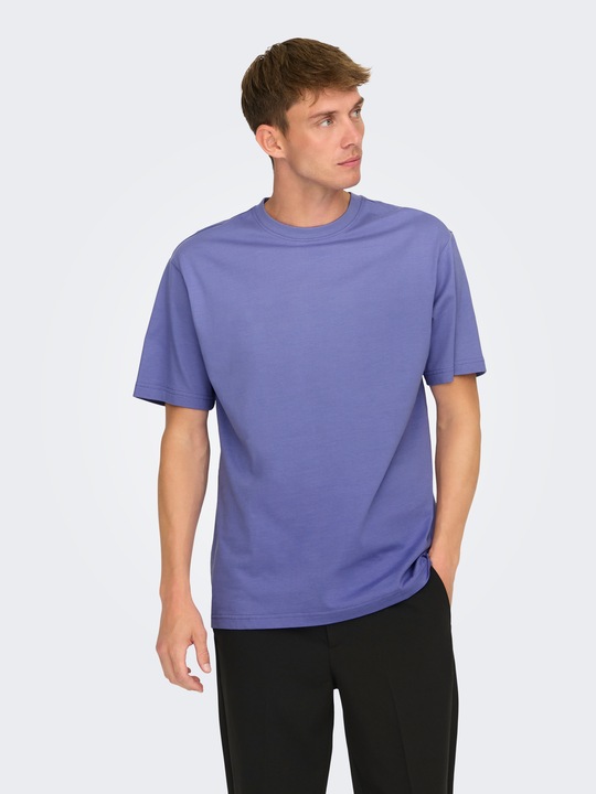 Image du produit Only & Sons Onsfred Life Rlx Ss Tee Noos (XS)