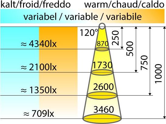 Produktbild L&S LED Bänder Emotion Mini Chip 2x120 / 24 V (Kaltweiss, 250 cm, Indoor)
