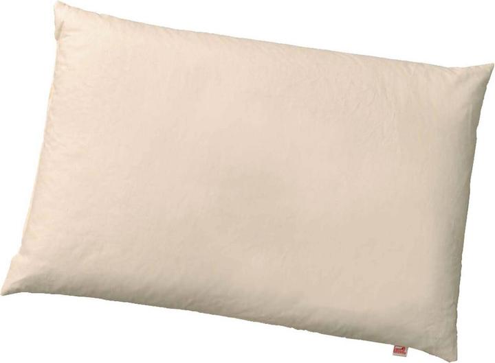 Immagine prodotto Sissel Cuscino di farro Palea (40 x 60 cm)