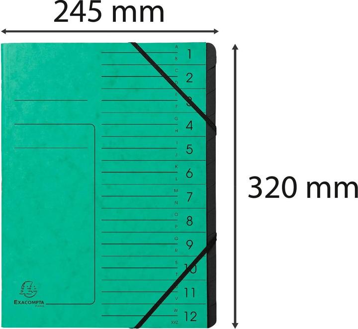 Actual product image Exacompta Stapled file folders (A4, 1 x)
