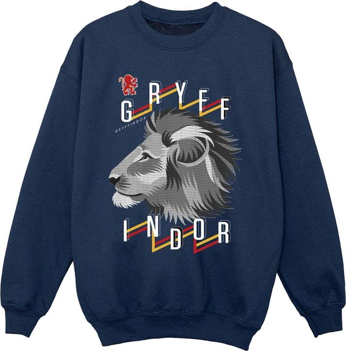 Actual product image Girls Gryffindor Lion Icon Sweatshirt (128)