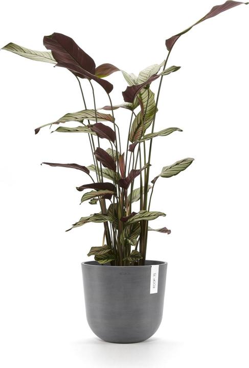 Produktbild Ecopots Oslo (25 cm)