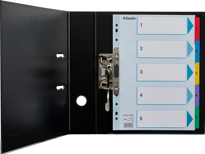 Image du produit Esselte Répertoire en carton Mylar, différents modèles, à l'unité