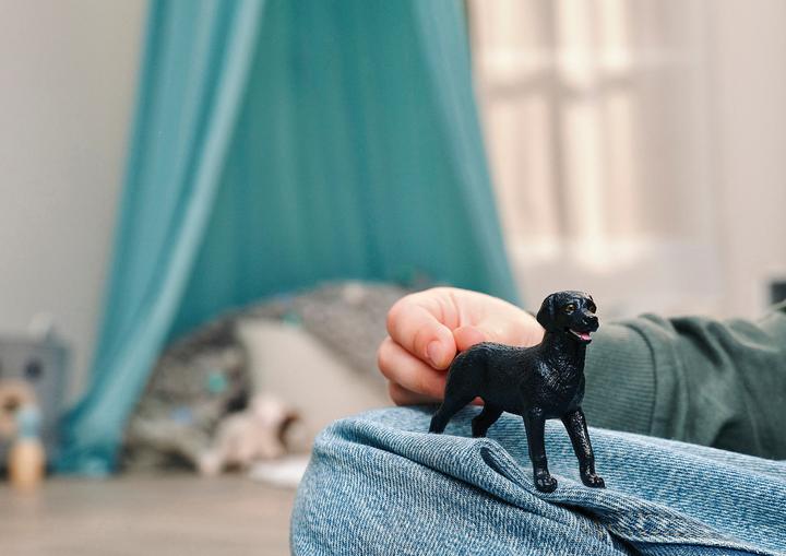 Immagine prodotto Schleich Schwarzer Labrador Retriever Welpe