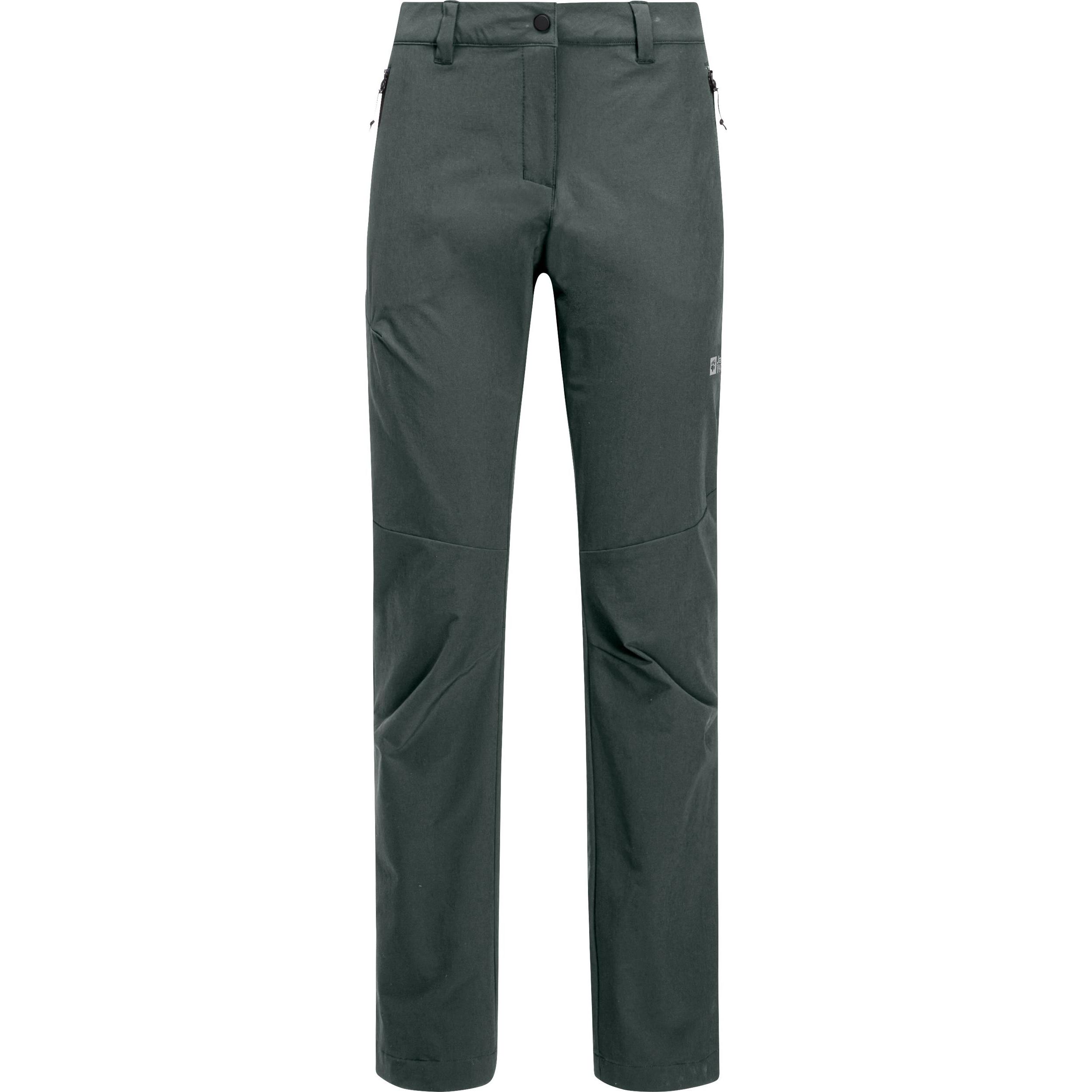 Jack Wolfskin, Damen, Outdoorhose, Holdsteig Pants W (42), Grün, 42