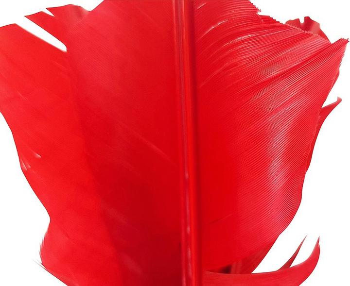 Produktbild Tunturi Indiaca Ersatzfeder