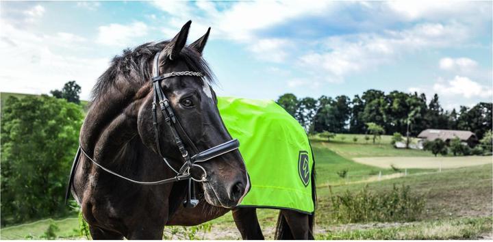 Produktbild Stallone Regen-Nierendecke Reflex