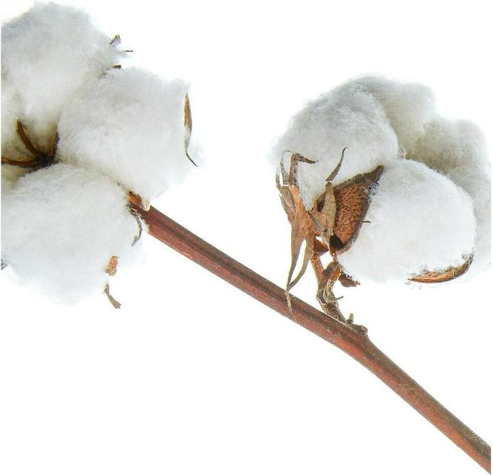 Image du produit NIVEA Classic Care pH-Optimal (Shampoing liquide, 250 ml)