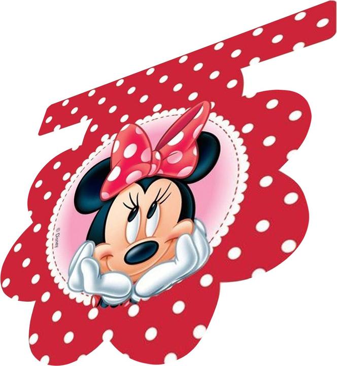 Actual product image Disney Dotted Minnie Mouse Flag Banner