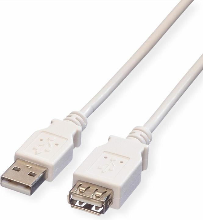 Actual product image Value USB 2.0 (3 m, USB 2.0)