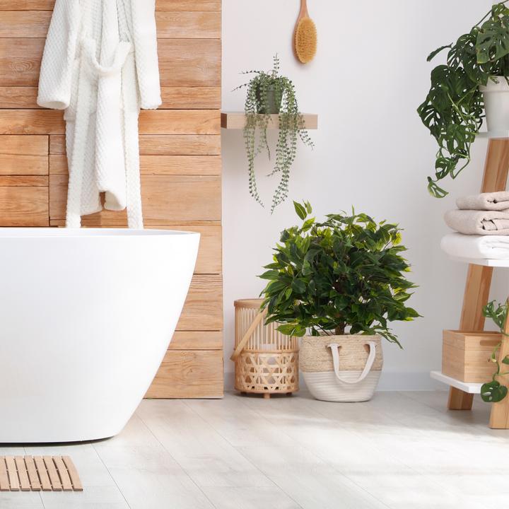 Produktbild Hjh Office Ficus Ii (65 cm)