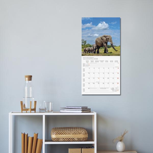 Image du produit Elefanten2026 (30 x 30 cm)