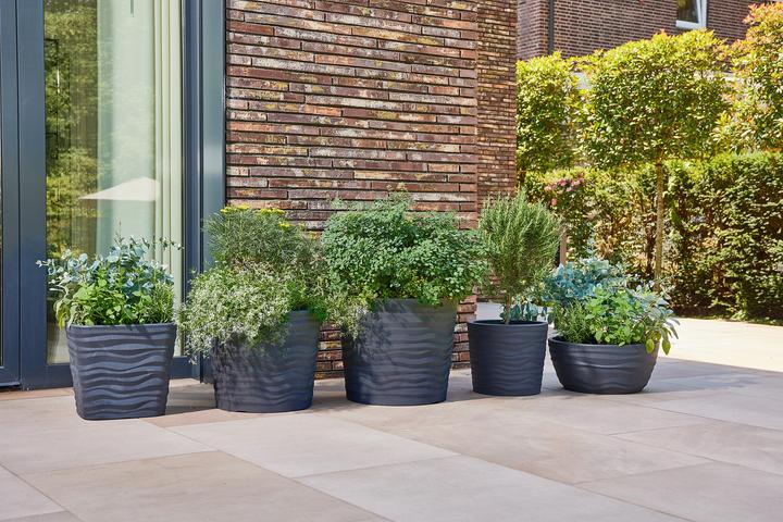 Produktbild Siena Garden Madrid (45 cm)