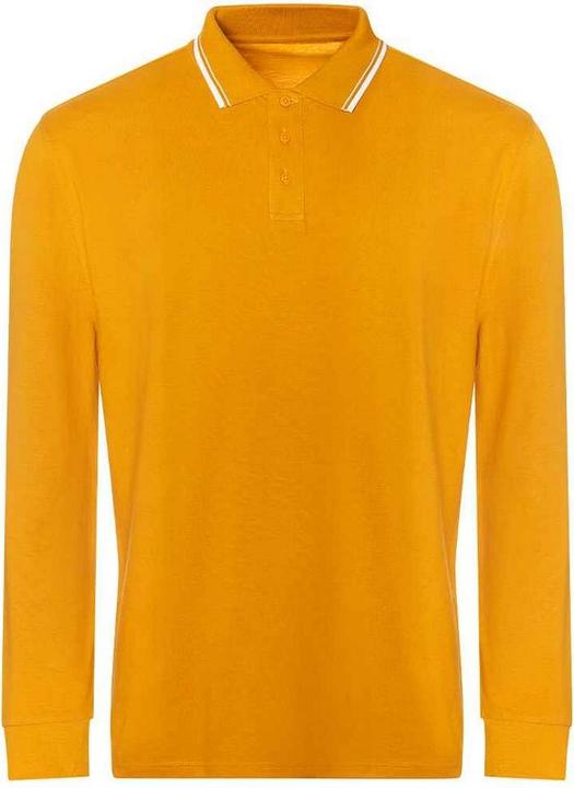 Produktbild Awdis Poloshirt Mit kontrastfarbenen Streifen Langärmlig (M)