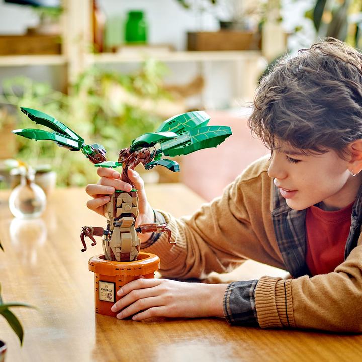 Actual product image LEGO 76433 Magic potion plant: Mandrake (76433, LEGO Harry Potter)