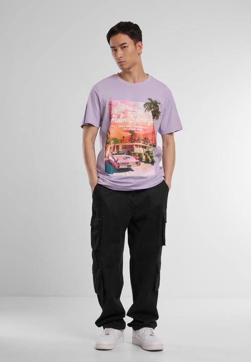 Image du produit Mister Tee MisterTee Tee Palms Springs - 170309 (XS)