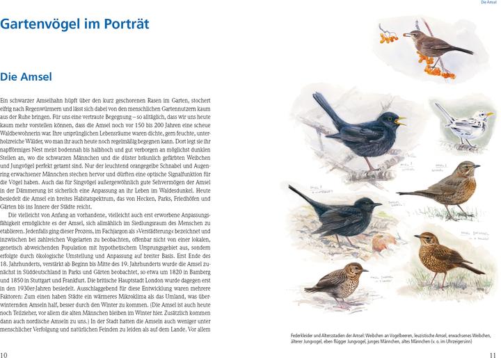 Produktbild Das grosse Buch der Gartenvögel (Deutsch, Christopher Schmidt, Uwe Westphal, 2021)