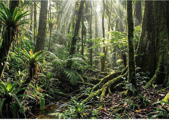 Produktbild HP OmniStudio All-in-One Desktop Next Gen AI 27-cy0522nz PC (1000 GB, 16 GB, Intel Core Ultra 5 325, Intel Arc Graphics)