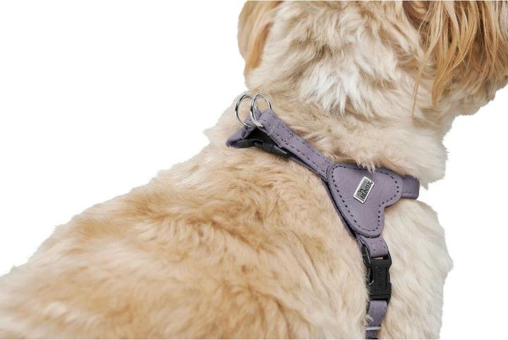 Actual product image Hunter Hundegeschirr SOHO MINI Lila XS/S (S, XS, Dog, Walks)