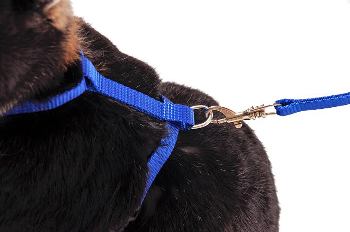 Actual product image Karlie Art Sportiv Plus Rabbit Harness and Leash (One size, Rodents, Walks)
