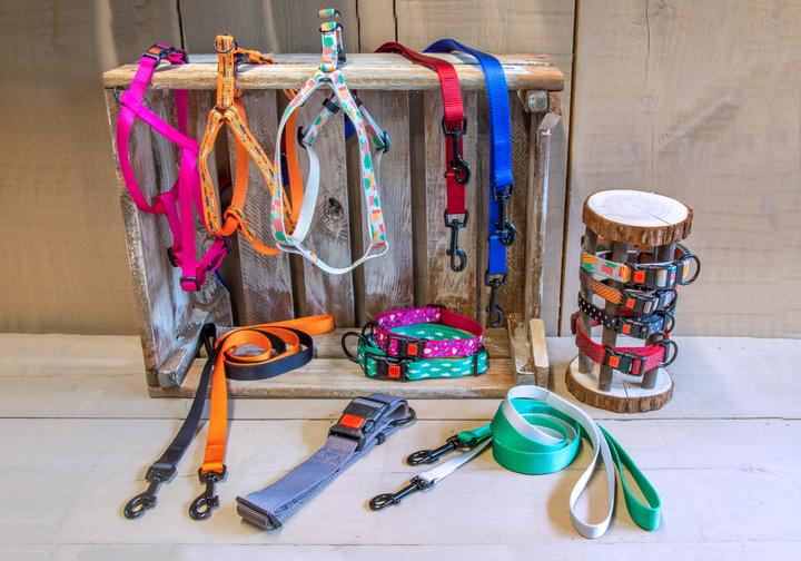 Actual product image Karlie Art Sportiv Plus Leash new universal colors Mix and Match (L, XL, Dog, Walks)