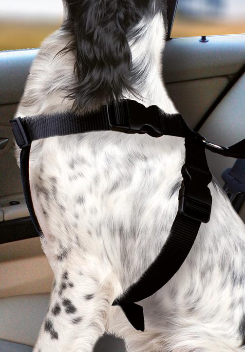 Produktbild Karlie Auto-Hundegeschirr (Hund, Abschliessbar, Faltbar)