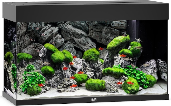 Immagine prodotto Juwel Aquarium Rio (125 l)