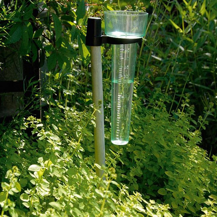 Image du produit Plastia Pluviomètre