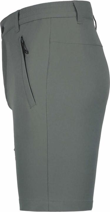 Actual product image Icepeak Mens Berwyn Walking Shorts (40)