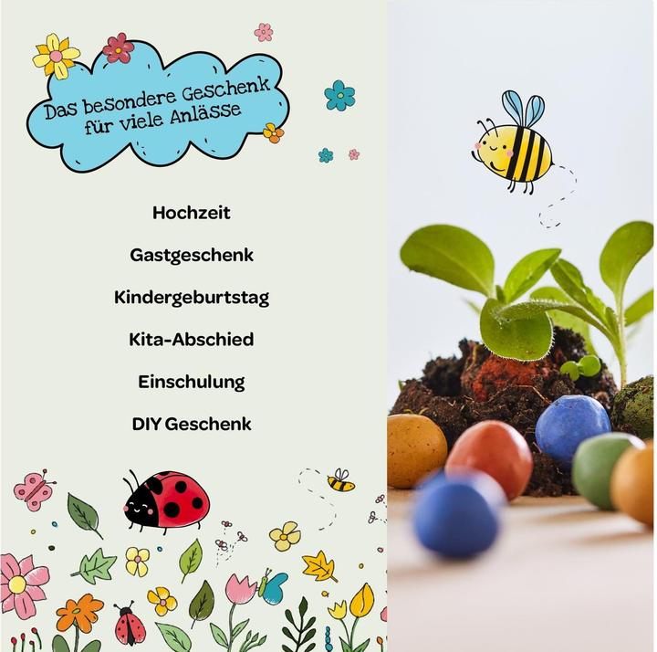 Produktbild Die Stadtgärtner Blumenmurmeln (Blumensamen, Samenbomben)