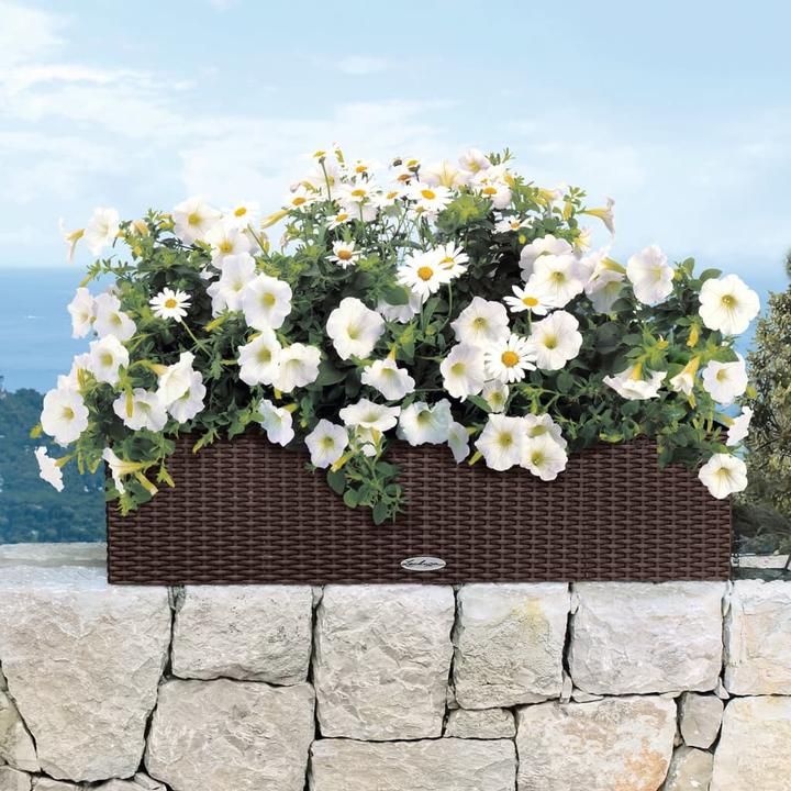 Actual product image Lechuza Balconera Cottage (19 cm)