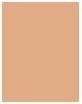 Image du produit Sensai Flawless Satin Most Fond de Teint FS102 (FS102 Ivory Beige)
