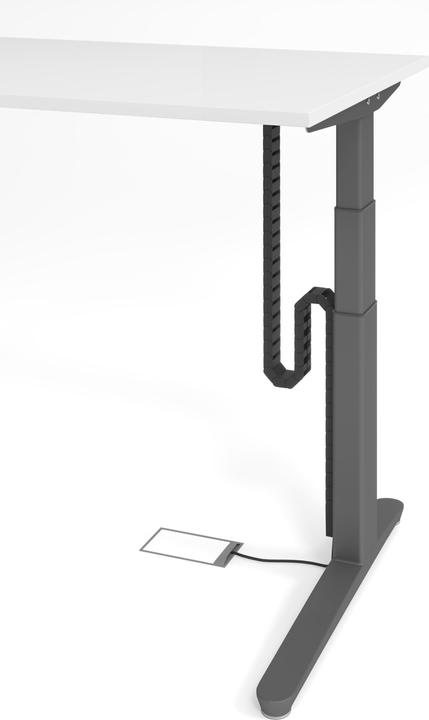 Produktbild Apollo Kabelkette (2 cm)